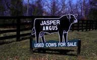 Funny Signs For Sale 48 Widescreen Wallpaper