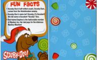 Funny Weird Facts 24 Background