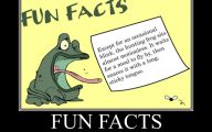 Funny Weird Facts 25 Background