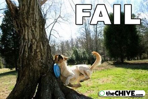 Funny Fails Animals 9 Cool Wallpaper - Funnypicture.org