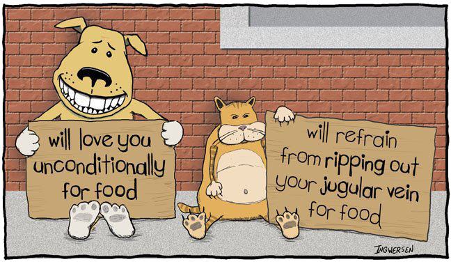 Funny Cartoon Dog Pictures 9 Cool Wallpaper