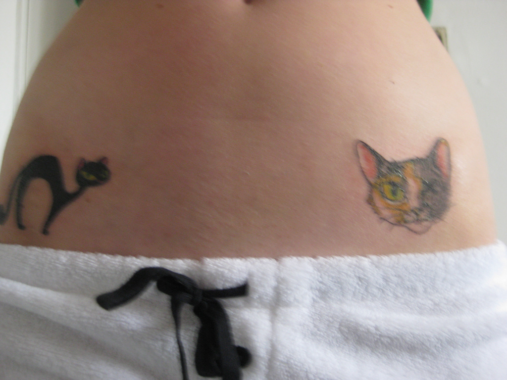 Funny Cat Tattoo On Stomach 10 Desktop Background.