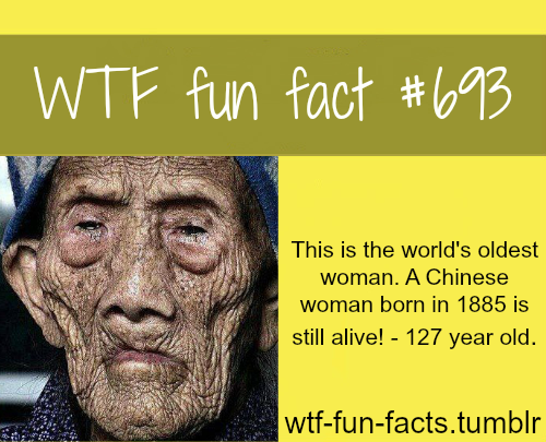 Funny And Weird Facts 19 Background Wallpaper - Funnypicture.org