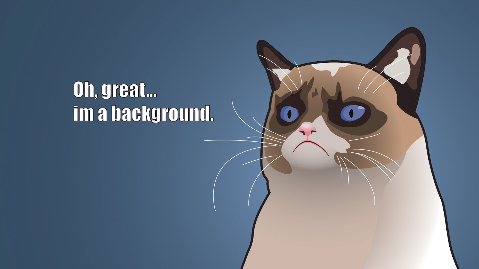 Funny Cartoon Cat 37 Cool Hd Wallpaper - Funnypicture.org