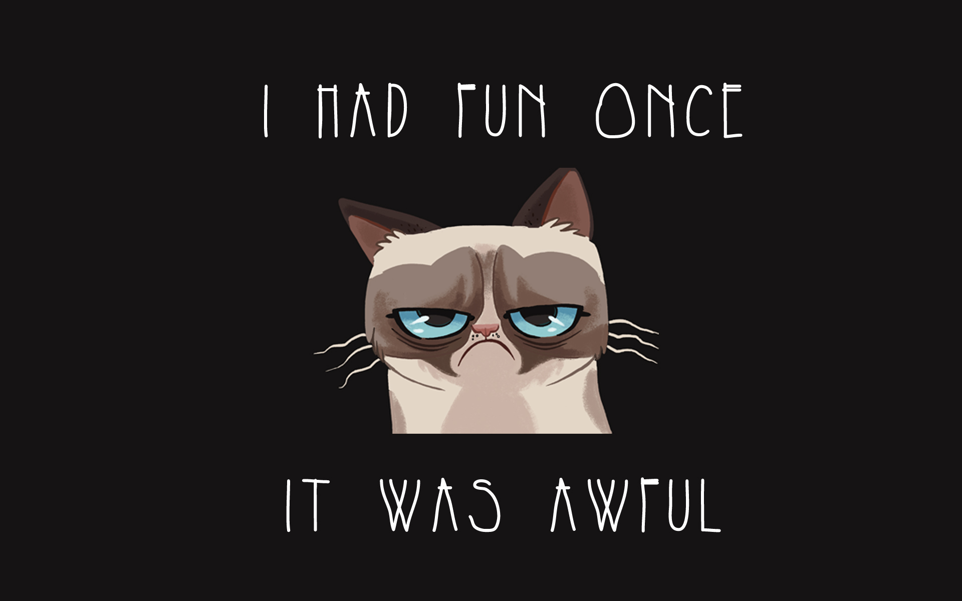 Funny Cartoon Cat 4 Free Hd Wallpaper - Funnypicture.org